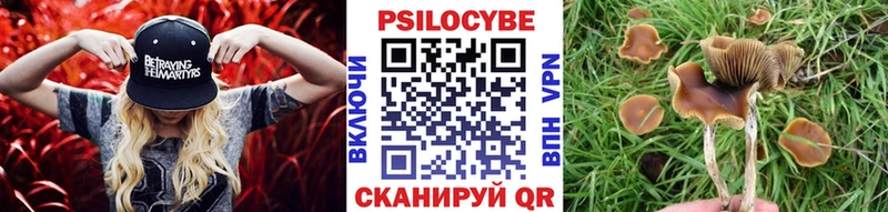 Галлюциногенные грибы Cubensis  omg сайт  Княгинино  дарнет шоп 
